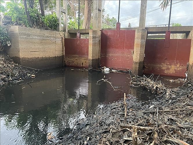 Bà Rịa-Vũng Tàu: Xử phạt hơn 1,2 tỷ đồng doanh nghiệp xả thải vượt mức cho phép