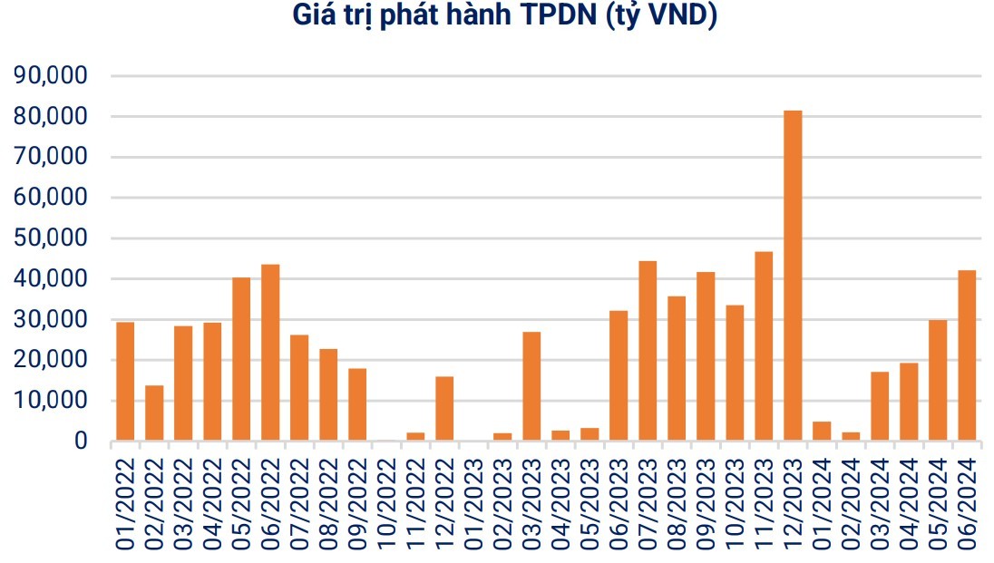 Tổng giá trị phát hành trái phiếu doanh nghiệp đạt hơn 42 nghìn tỷ đồng trong tháng 6