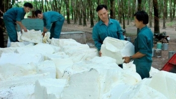 Ngày 6/7: Giá cà phê, hồ tiêu biến động nhẹ, cao su giảm sốc trên cả hai sàn