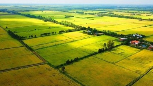 Quy định miễn thuế sử dụng đất nông nghiệp 5 hay 10 năm là phù hợp?