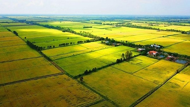 Quy định miễn thuế sử dụng đất nông nghiệp 5 hay 10 năm là phù hợp? Quy định miễn thuế sử dụng đất nông nghiệp 5 hay 10 năm là phù hợp?
