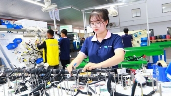 FDI inflow expected to hit 40 billion USD in 2024, pushing GDP growth up