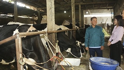 Hơn 38.700 tỷ đồng từ tín dụng chính sách đến với hơn 1 triệu hộ nghèo, đối tượng chính sách