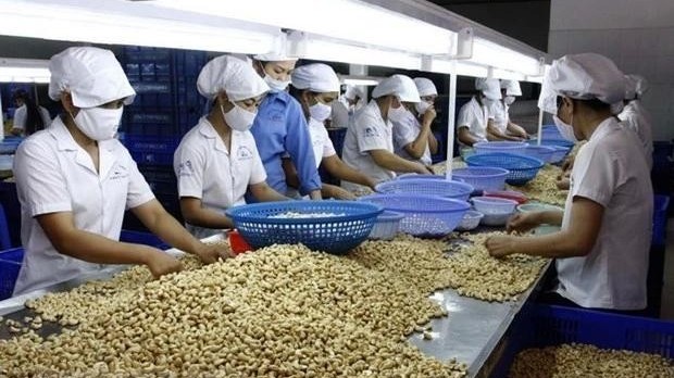 Vietnamese agricultural products, food expected for deeper engagement in global supply chain