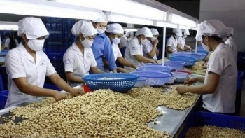 Vietnamese agricultural products, food expected for deeper engagement in global supply chain