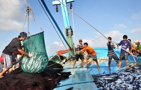 Thuỷ sản Mekong nối dài chuỗi kinh doanh thua lỗ sang quý thứ 4