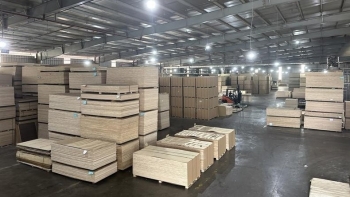 Nhu cầu thị trường phục hồi, xuất khẩu gỗ tăng mạnh