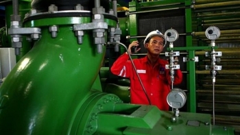 PV Power proposes 4-billion-USD clean energy complex in Ninh Thuan