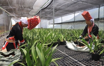 Quảng Ninh phấn đấu nâng mức thu nhập bình quân lên 100 triệu đồng/người/năm