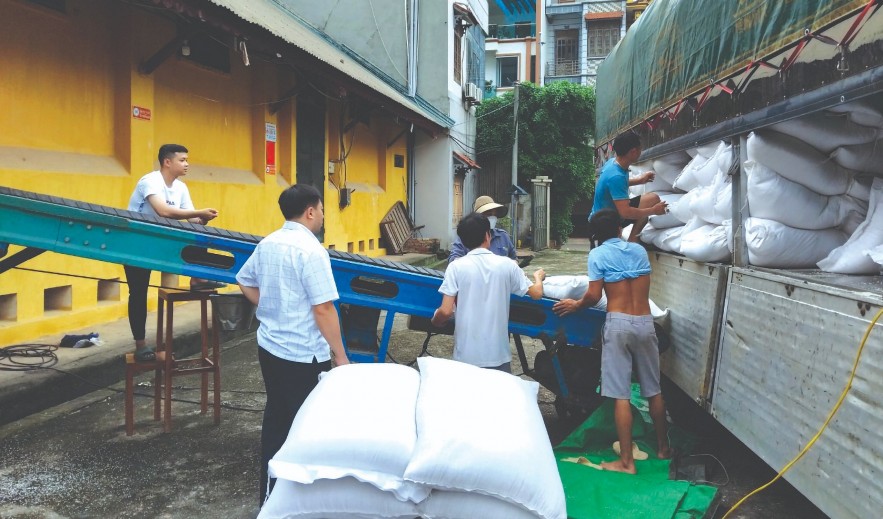 Hoàn thành kế hoạch nhập hàng dự trữ quốc gia