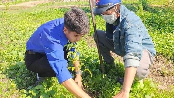 Bắc Bình với phong trào “Mỗi đoàn viên thanh niên - Một cây xanh tình nguyện”
