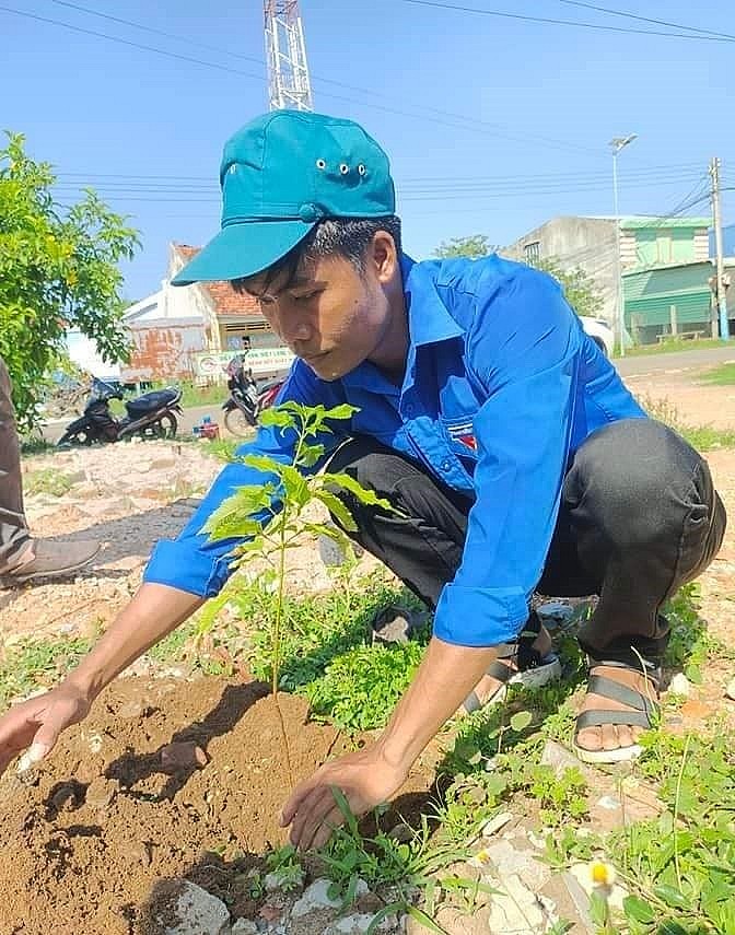 Bắc Bình với phong trào “Mỗi đoàn viên thanh niên - Một cây xanh tình nguyện”