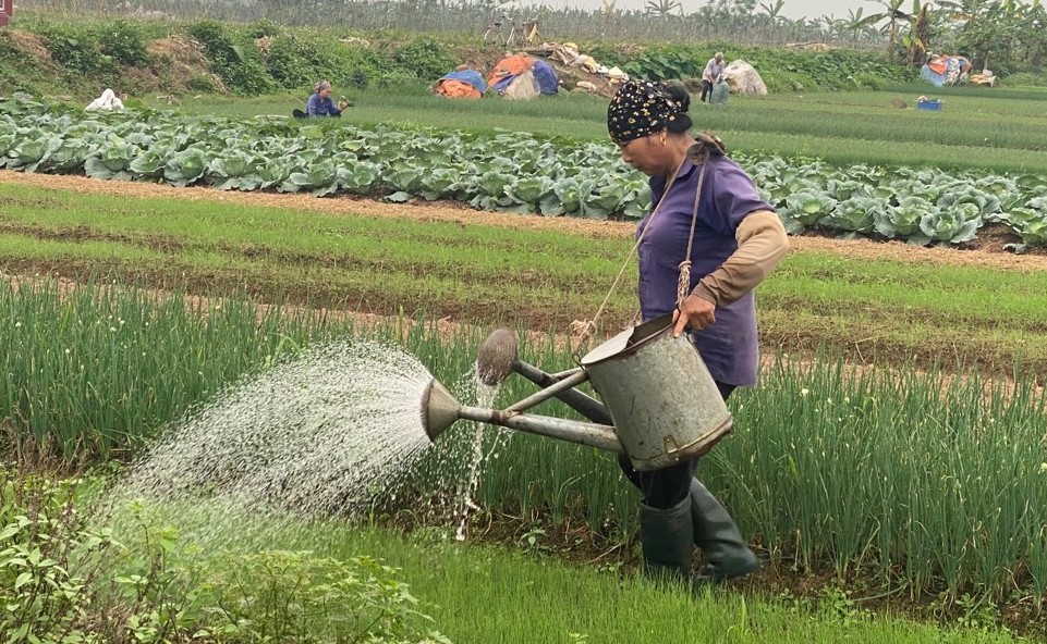 Hà Nội: Đời sống nông dân không ngừng được cải thiện và nâng cao