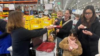Quả vải Việt Nam 'cháy hàng' tại chuỗi siêu thị Costco ở Australia