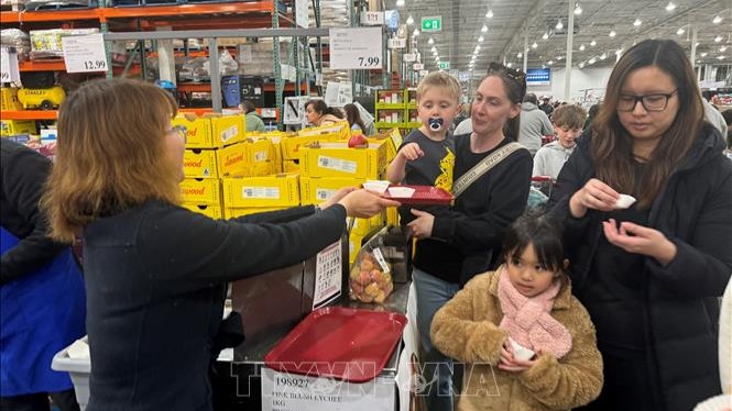Quả vải Việt Nam 'cháy hàng' tại chuỗi siêu thị Costco ở Australia