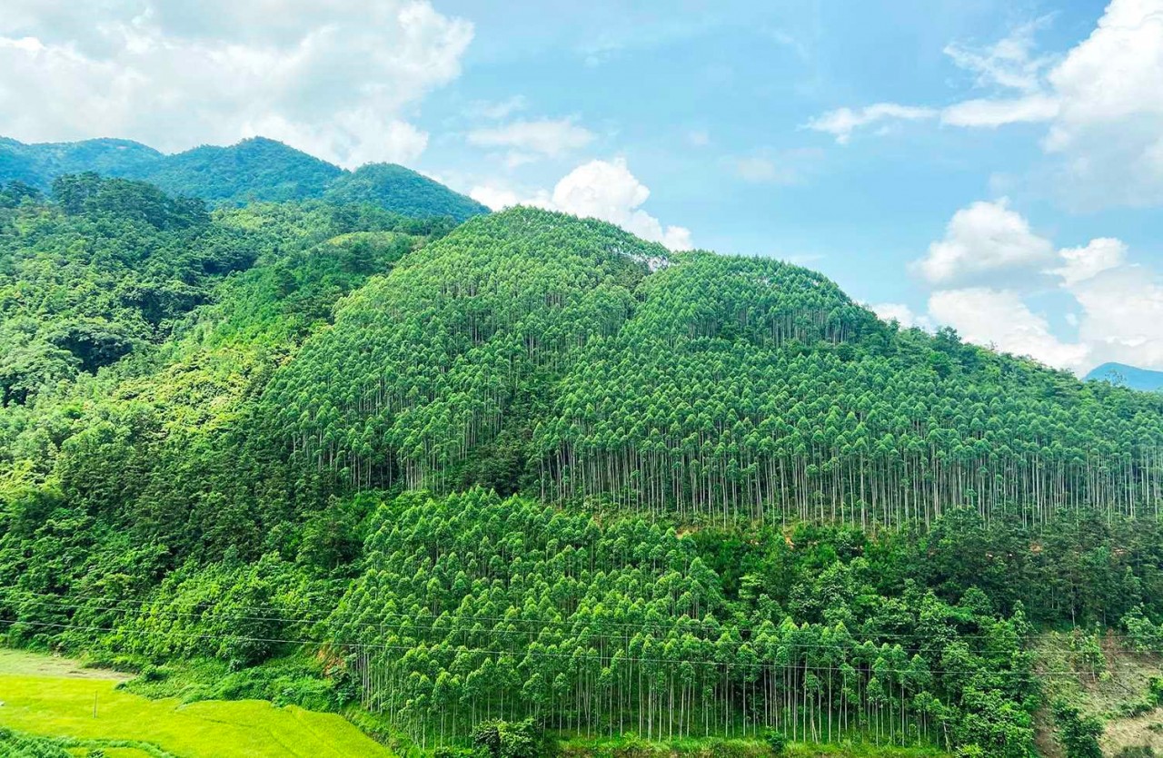 Chủ động hoàn thiện các điều kiện để tham gia thị trường các