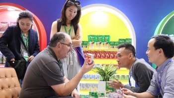 Doanh thu quý II/2024 của Vinamilk lập đỉnh mới