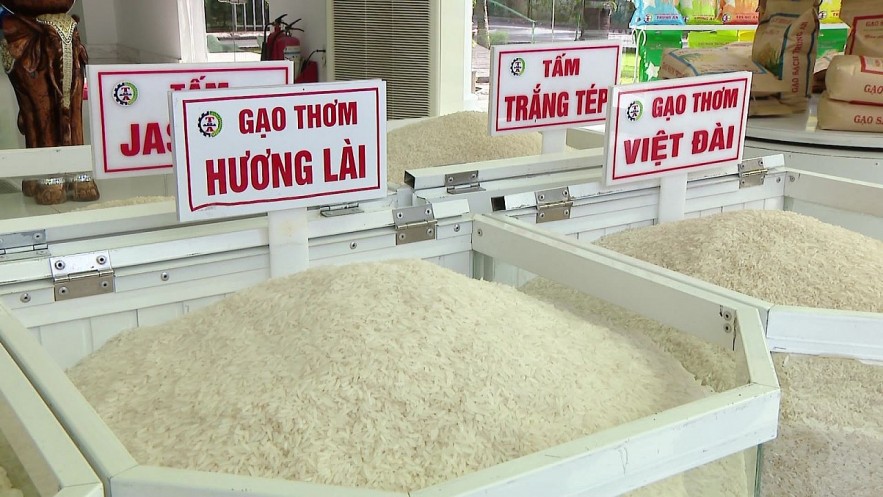 Ngày 2/8: Giá gạo tăng ngày thứ 3 liên tiếp, lúa dao động quanh mốc 6.900 - 7.000 đồng/kg