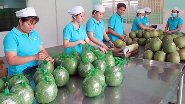 Giải pháp hiệu quả, xuất khẩu nông, lâm, thủy sản khởi sắc