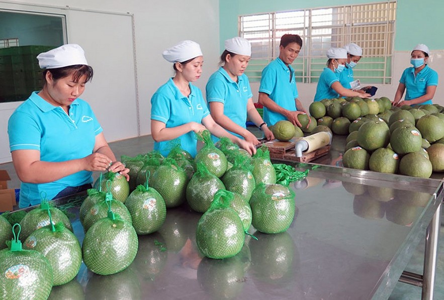 Giải pháp hiệu quả, xuất khẩu nông, lâm, thủy sản khởi sắc