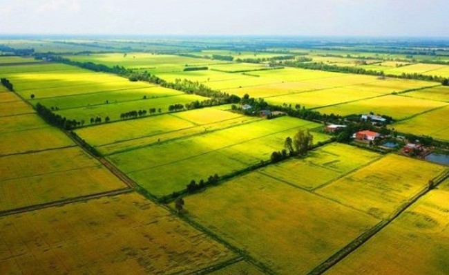 Bộ Tài chính lưu ý việc quản lý, sử dụng tài sản công tại Luật Đất đai năm 2024