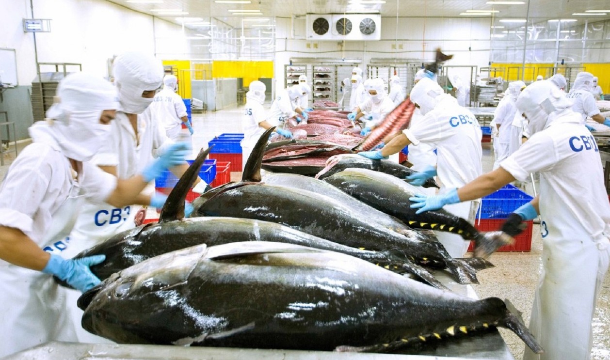 Còn nhiều cơ hội gia tăng xuất khẩu sản phẩm cá ngừ sang Anh