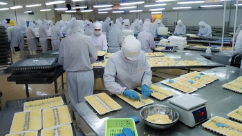 Cổ đông lớn Es Vina tiếp tục mua vào hơn 100 nghìn cổ phiếu CMX để tăng tỷ lệ sở hữu
