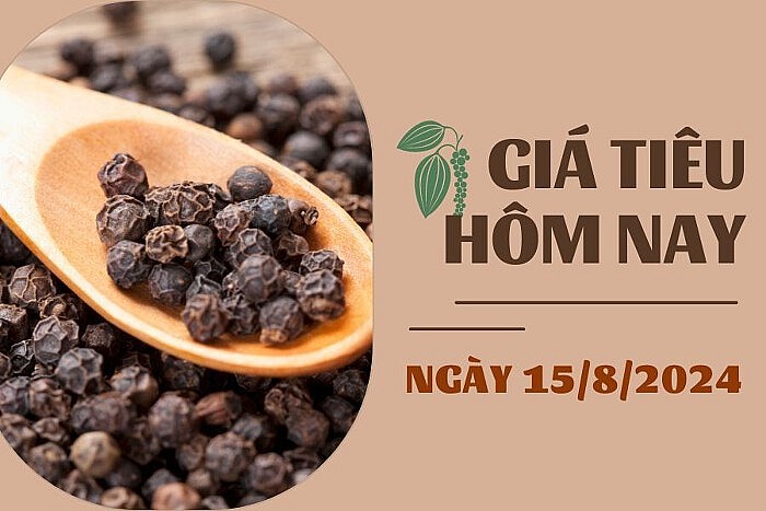 Ngày 15/8: Giá tiêu và cà phê đảo chiều tăng, cao su quay đầu giảm