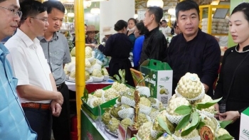 Khai mạc tuần lễ quảng bá na Chi Lăng, nông đặc sản tỉnh Lạng Sơn
