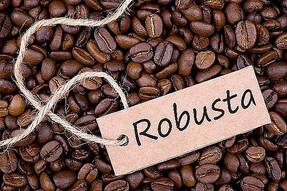 Ngày 26/8: Giá cà phê Robusta và cao su tăng, hồ tiêu biến động không đồng nhất