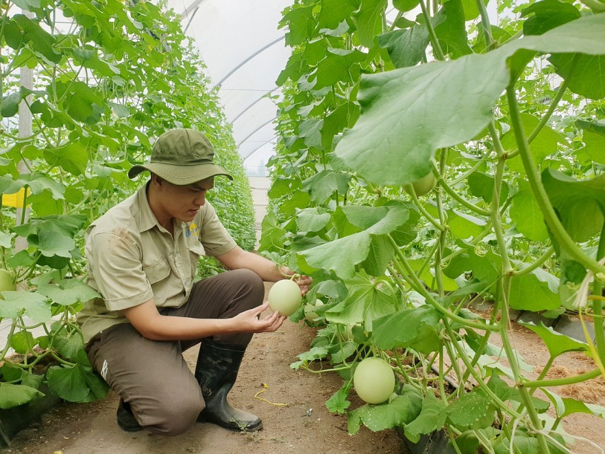 Nhiều dư địa tăng xuất khẩu nông sản vào thị trường EU