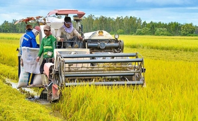 Cần giải pháp căn cơ nâng cao hiệu quả chuỗi giá trị nông nghiệp