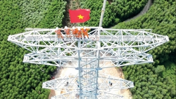 Kinh tế phục hồi vững chắc - Dấu ấn “vượt nắng, thắng mưa”