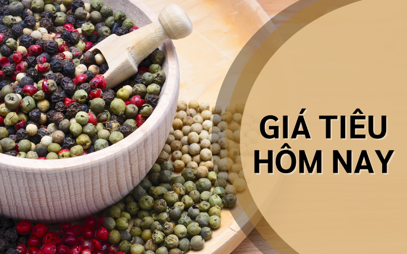 Ngày 30/8: Giá tiêu, cà phê Arabica và cao su đồng loạt giảm