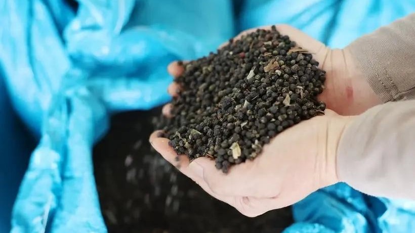 Vietnam pepper exports to top 1 billion USD in 2024