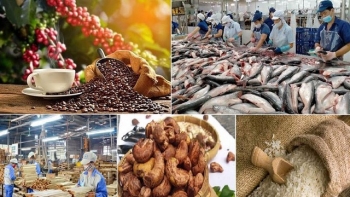 U.S. becomes largest importer of Vietnamese agricultural, forestry and fishery products