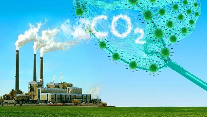 Tạo điều kiện thuận lợi để doanh nghiệp tham gia vào thị trường carbon Tạo điều kiện thuận lợi để doanh nghiệp tham gia vào thị trường carbon