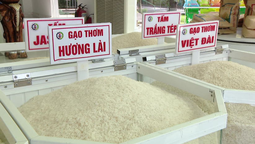 Ngày 5/9: Giá gạo tăng từ 50 - 150 đồng/kg, giá lúa ổn định