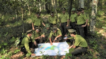 Quảng Bình: Vẫn còn khó khăn khi chi trả kinh phí cho đối tượng hưởng lợi từ tín chỉ các - bon