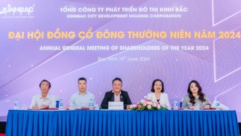 Công ty của CEO nhận lương 17 tỷ đồng/năm kinh doanh thế nào?