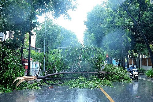 Bão số 3: Công an thành phố Hà Nội đề nghị người dân hạn chế đi lại