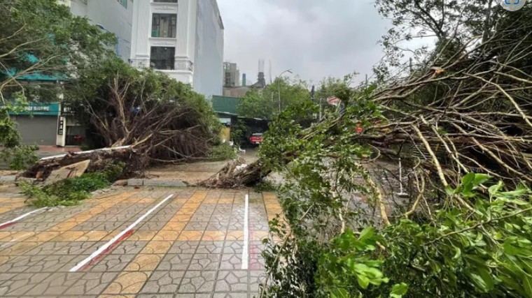 4 người tử vong, 78 người bị thương trong bão số 3