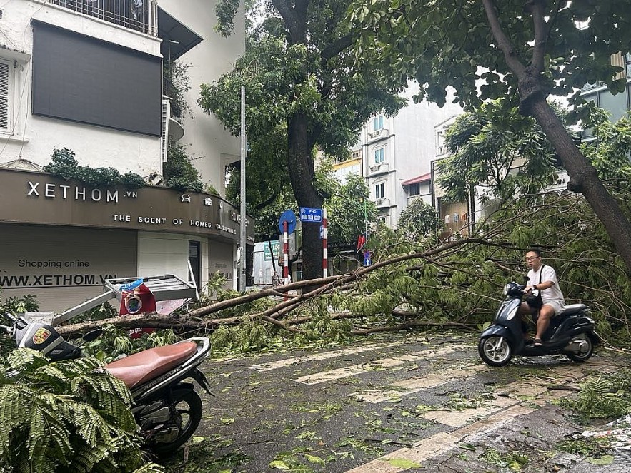 undefined Hà Nội: Đường phố cây đổ ngổn ngang sau khi bão Yagi quyét qua