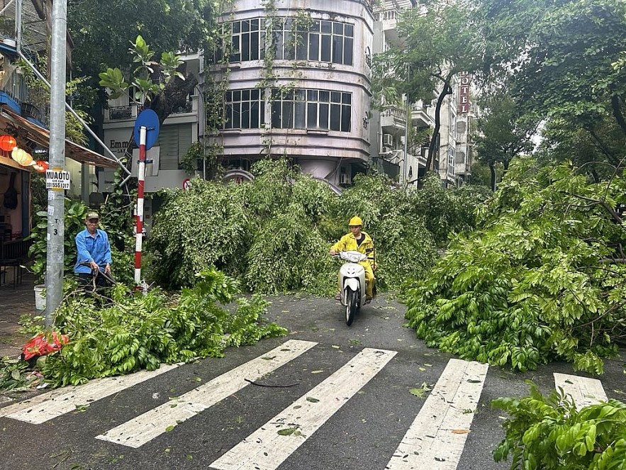 undefined Hà Nội: Đường phố cây đổ ngổn ngang sau khi bão Yagi quyét qua