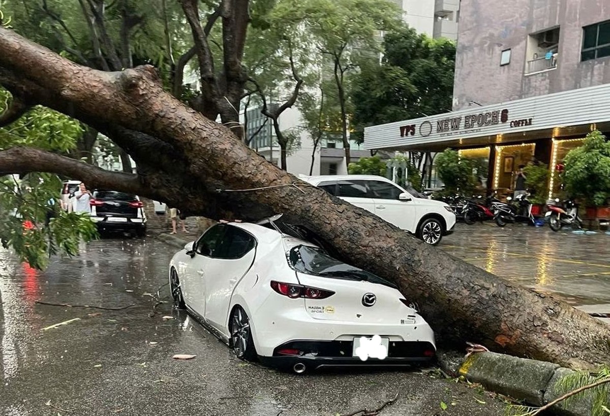 Đề nghị doanh nghiệp bảo hiểm chủ động, thực hiện ngay tạm ứng, bồi thường thiệt hại do bão Yagi