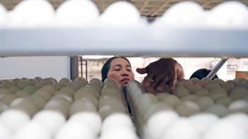 Credit growth target is within reach to contribute to boosting economic growth: SBV