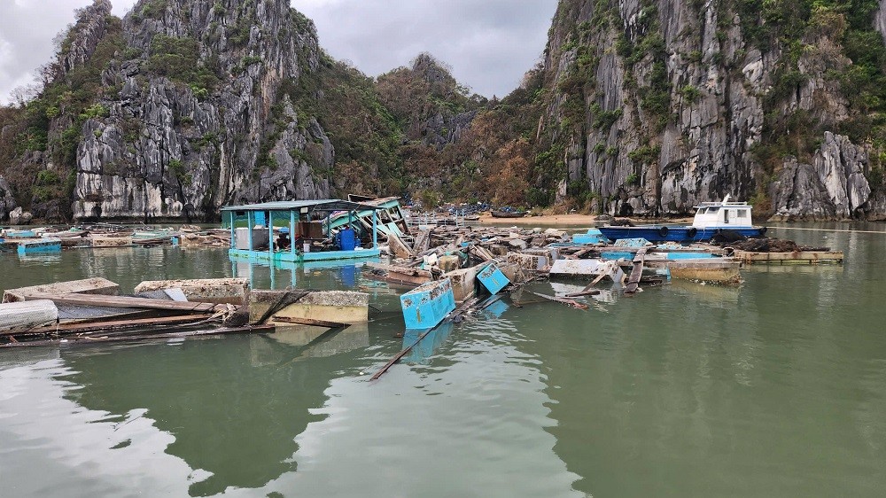 Quảng Ninh: Gỡ khó cho các khách hàng đang vay vốn ngân hàng bị ảnh hưởng của bão số 3