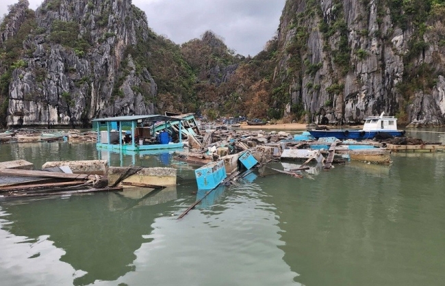Quảng Ninh: Gỡ khó cho người dân đang vay vốn ngân hàng bị ảnh hưởng của bão số 3
