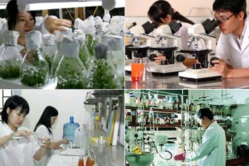 Sẽ phân cấp mạnh thẩm quyền trong quản lý, sử dụng tài sản công