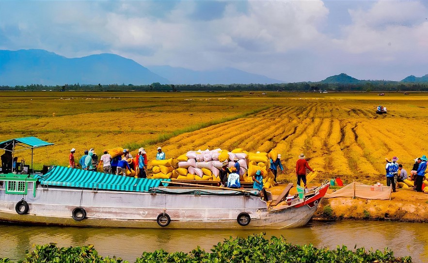 Giải bài toán tín dụng cho ngành nông sản Đồng bằng sông Cửu Long